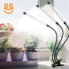 Indoor plants on windowsill lit by three flexible LED grow lights with clip base