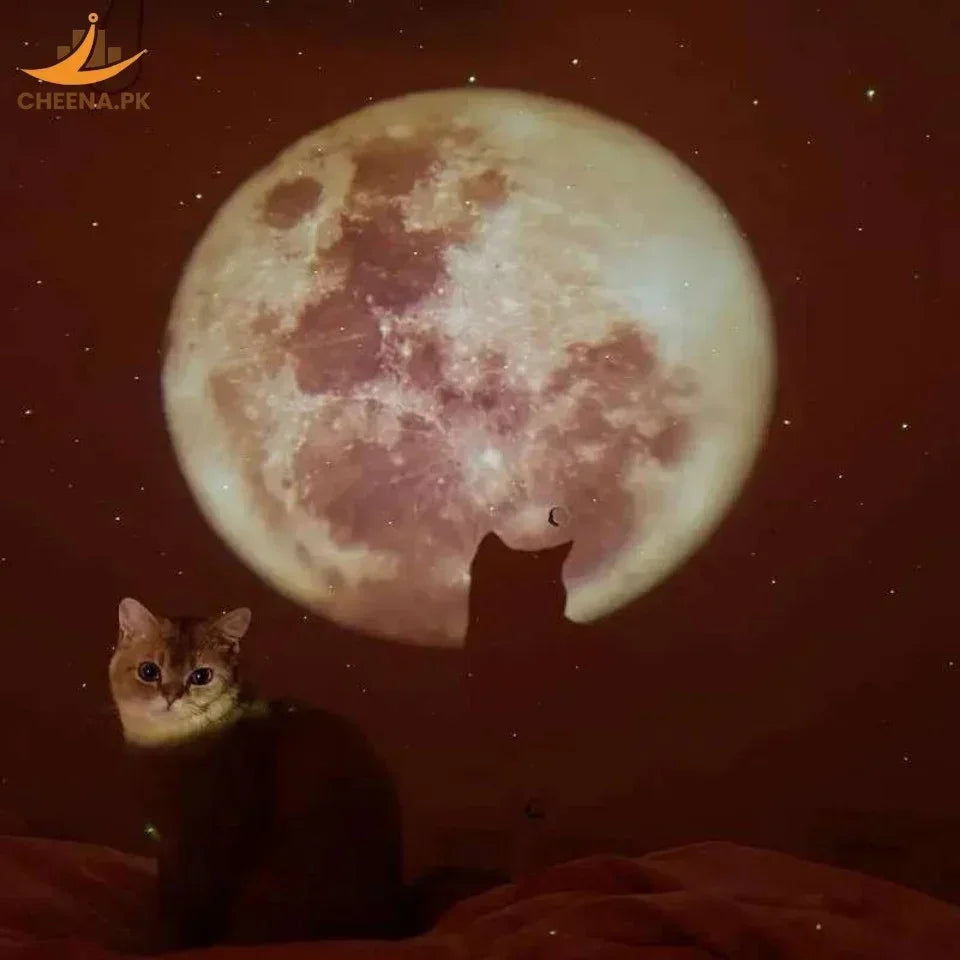 Cat sitting in front of a large full moon projection with another cat's silhouette visible