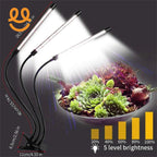 LED grow light with adjustable arms and clip, shining on succulent plants, 5 brightness levels